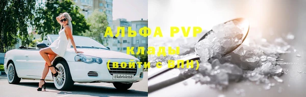 прущие крисы Новозыбков