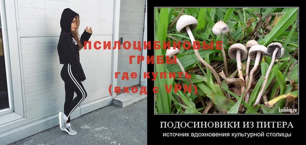 таблы Алексеевка