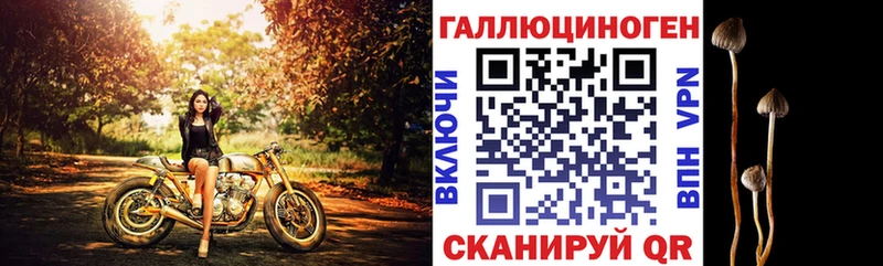 Псилоцибиновые грибы MAGIC MUSHROOMS  Невинномысск 