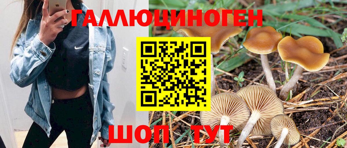 Псилоцибиновые грибы прущие грибы Невинномысск