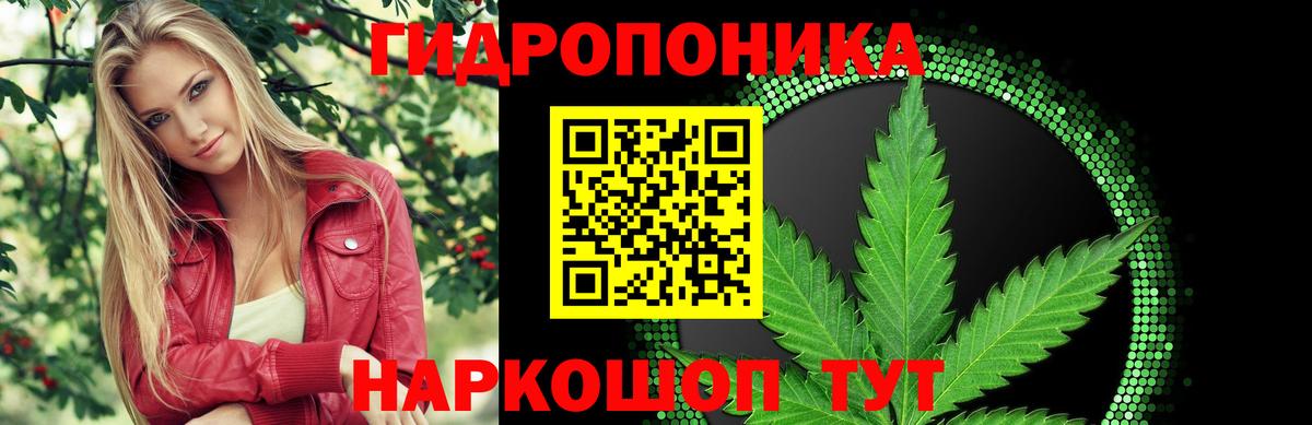 Бошки марихуана Ganja Невинномысск